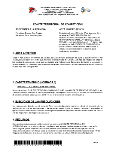 ACTA Nº 19 COMITÉ TERRITORIAL DE COMPETICIÓN