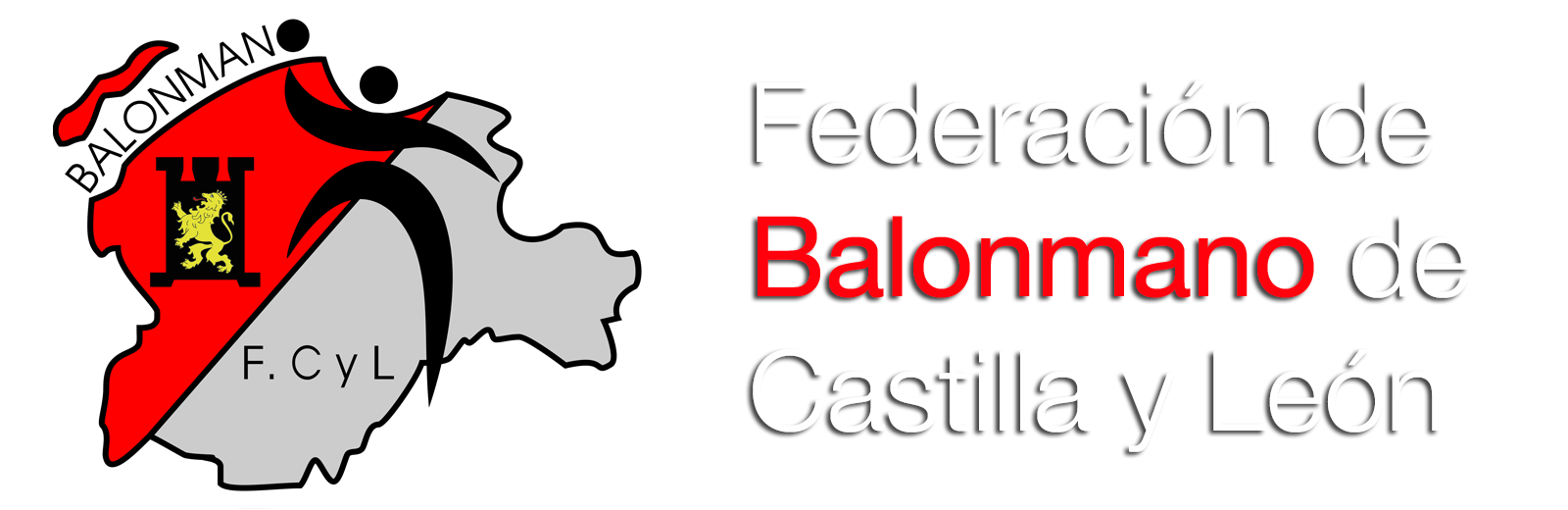 Federación de Balonmano de Castilla y León