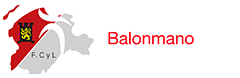 Federación Territorial de Balonmano de Castilla y León