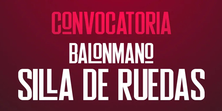 20260302_rfebm-bmsr_00